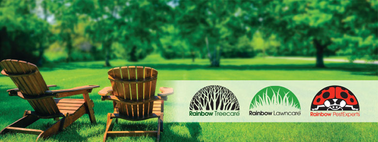 Tree Lawn Pest Summer