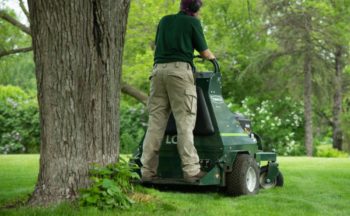 Lawn Services