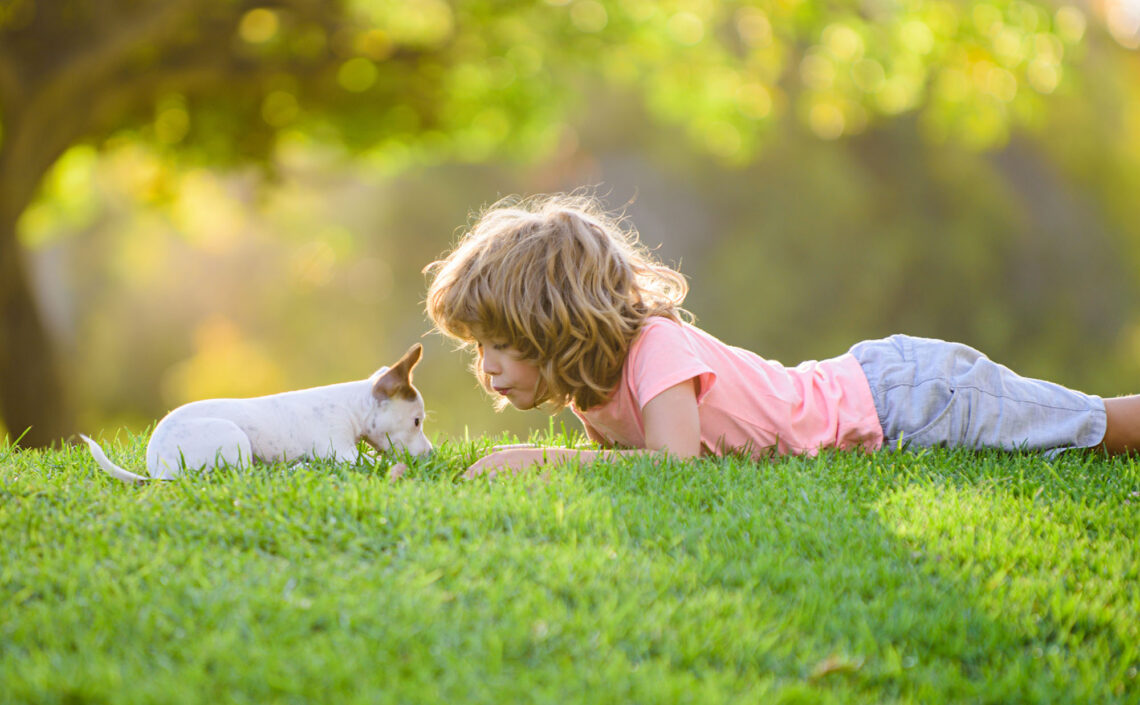 Child playing with dog in the grass