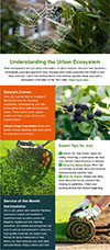 July 2025 Care & Cultivate